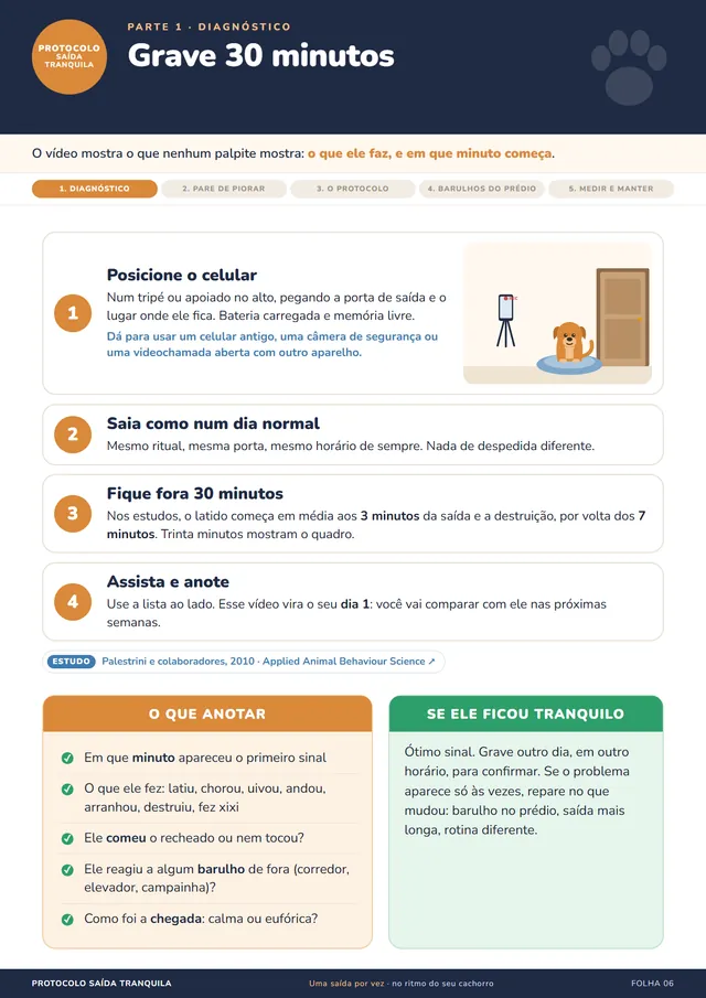 Folha Grave 30 minutos